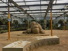 -南宫五洲植物乐园