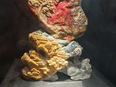 -烟台自然博物馆