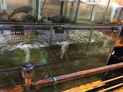 水产区-蓝湾碧波·老字号·疍家非遗海上餐厅