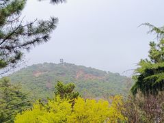 -北岭山森林公园