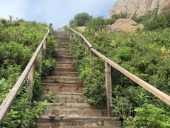 -白草畔自然风景区