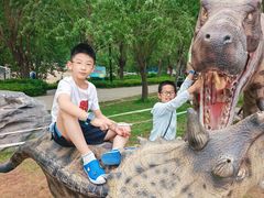 -西部长青自然儿童乐园