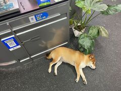 -博纳私人订制健身(中集美兰湖店)
