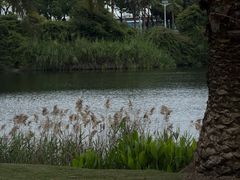 -厦门园林博览苑