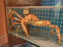 -隐炉和牛烧肉店(群力店)