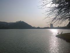 -顺峰山公园