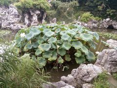 -清晏园
