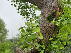 -东山风景区(洞庭东山)