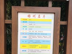 -白云山风景名胜区
