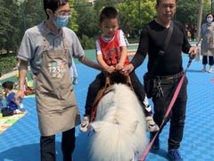 -123育儿园(百子湾校区)