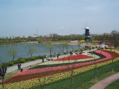 -上海鲜花港