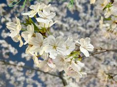 -西北湖绿化广场