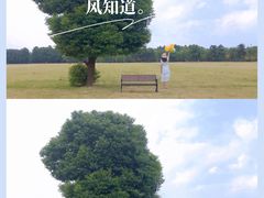 -山明水秀大饭店