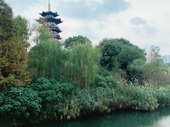-洋湖国家湿地公园
