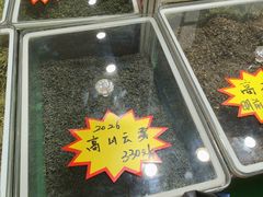 -中国农业博物馆