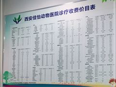 -佳怡动物医院·平价24小时·猫专科骨外科