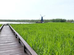 -宁波杭州湾国家湿地公园