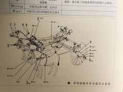 -洛阳周王城天子驾六博物馆