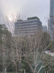-上海首尔丽格医疗美容医院