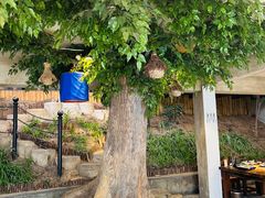 -天怡·鱼工厂(梅溪湖店)