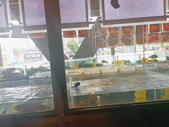-老伙记海鲜码头(北滘店)
