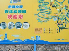 -青藏高原野生动物园