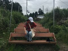 -柑橘农场