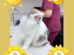 -宠颐生动物医院·小陆分院