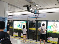 -陆家浜路(地铁站)