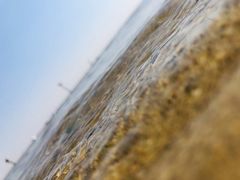 -碧海金沙