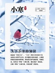 -宝馨月月子中心(友谊医院店)