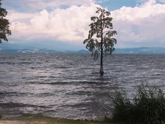 -大理洱海