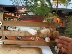 -nodcafe(M50创意园店)