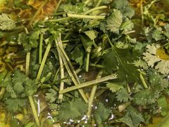 -张记牛肉面馆(天津路店)