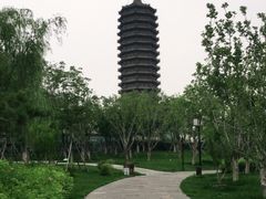 -西海子公园
