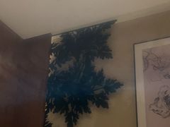 -新紫霞养生·影院足道·SPA(金山区店)