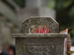 -十八棵（老龙井）御茶园(老龙井店)