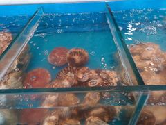 -火舞泰·泰式海鲜火锅餐厅(世纪城店)