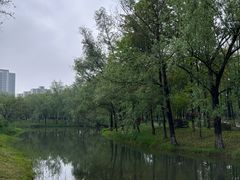 -洋湖国家湿地公园