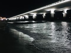 -演武大桥观景平台