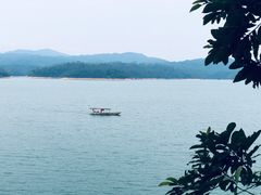 -广州市流溪河国家森林公园