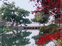 -湖畔居茶楼(湖滨店)