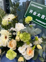 -侨治发型