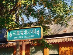 -三里屯东五街银杏大道