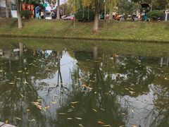 -泰州凤城河风景区-泰山公园