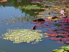 -国家植物园南园