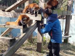 -无锡动物园·太湖欢乐园