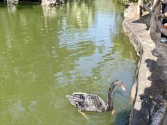 -海南热带野生动植物园