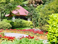 -庐山风景区花径公园