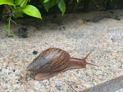 -三亚亚龙湾瑞吉度假酒店